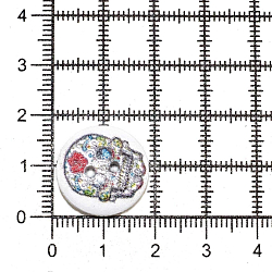 Пуговица 'Разное' 28L (18мм) 2 прокола, дерево