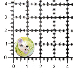 Пуговица 'Разное' 24L (15мм) 2 прокола, дерево